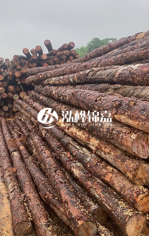 購買松木樁注意事項(xiàng)有哪些-不同直徑松木樁區(qū)別有哪些？