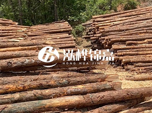 松木樁的運(yùn)輸費(fèi)用是否包含卸車費(fèi)？卸貨時(shí)需要注意哪些安全問題？