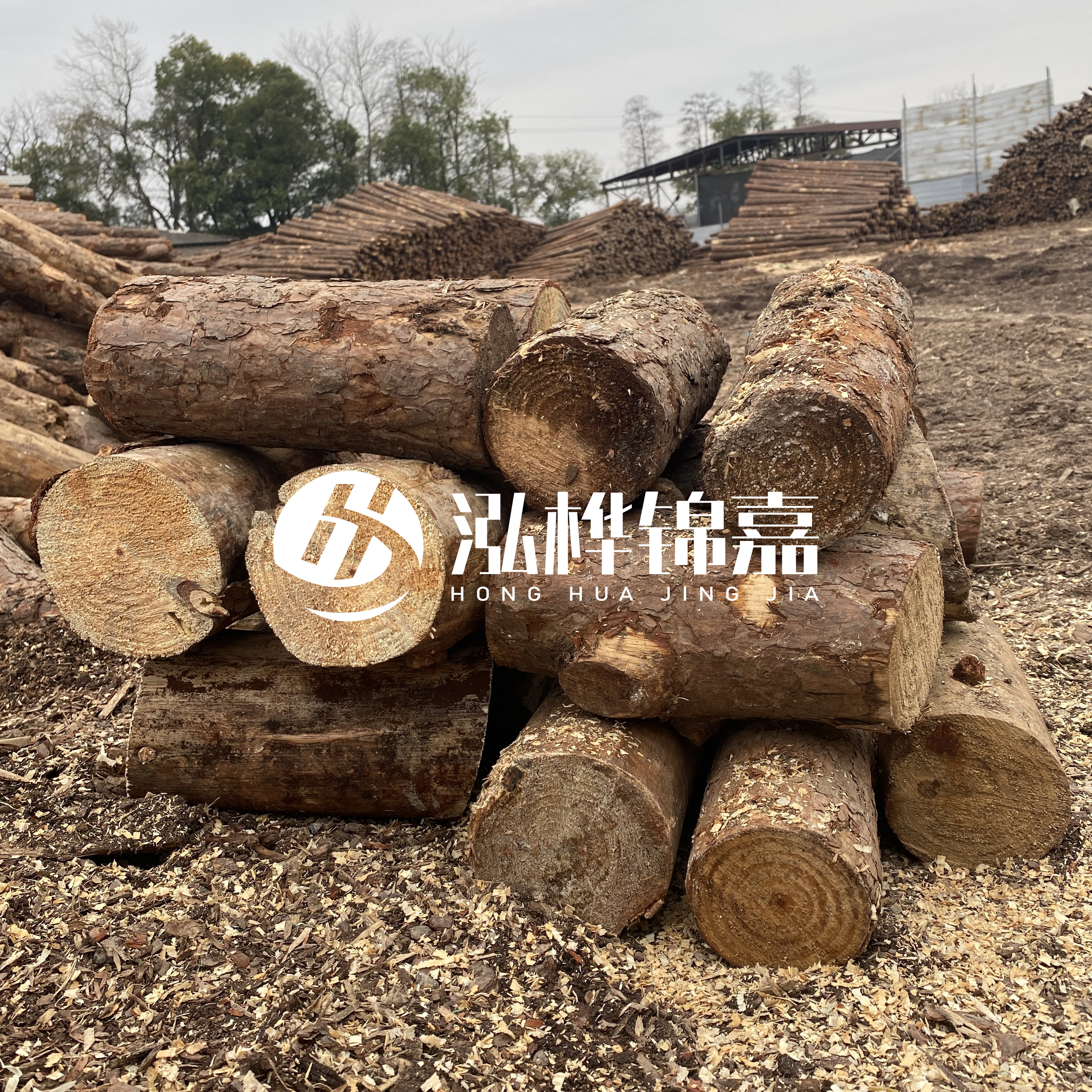 打樁木邊角料能做什么用途？怎么賣的？