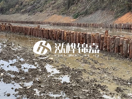 甘肅松木樁源頭廠家泓樺錦嘉-松木樁價(jià)格4米多少一根？