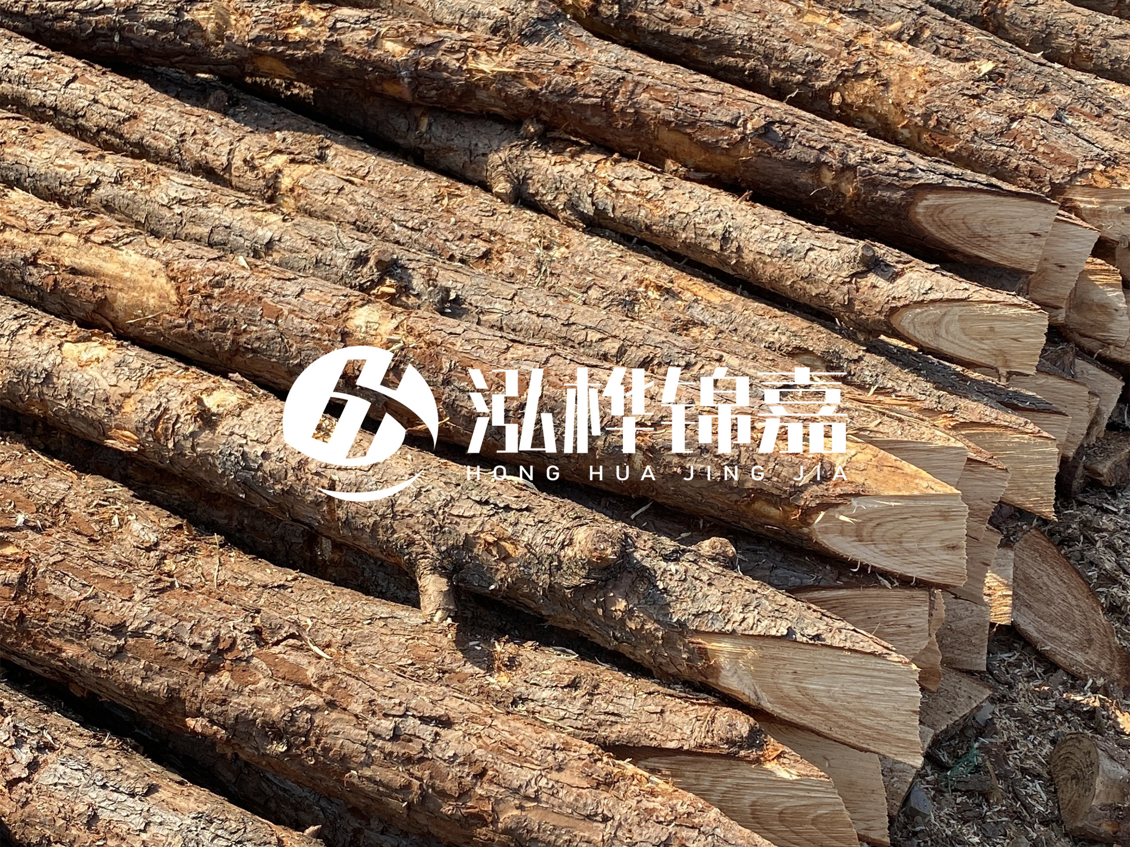 8 米超大直徑松木樁的價格是多少？帶皮和去皮松木樁價格差多少？