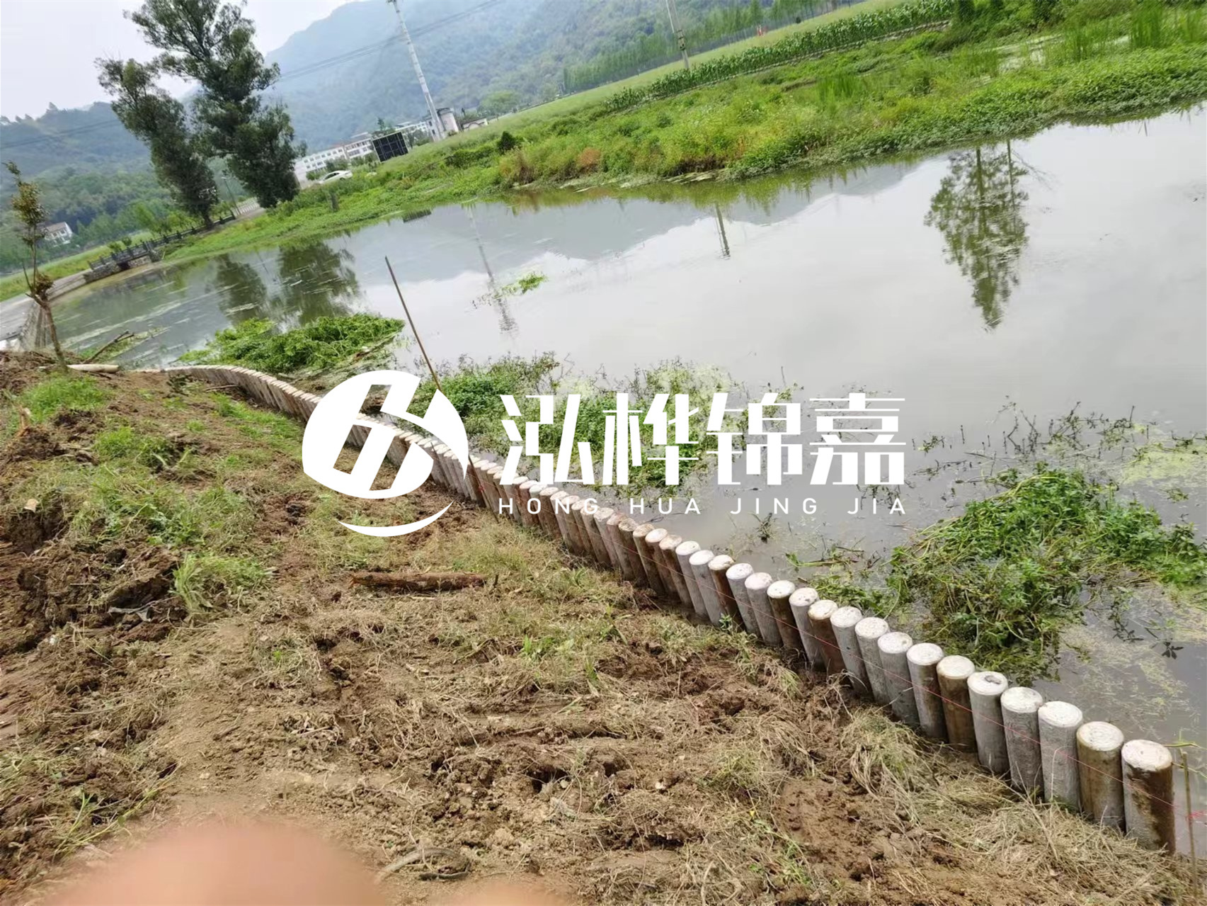 松木樁加固河道與水泥樁對比如何？哪一種更加適合您？