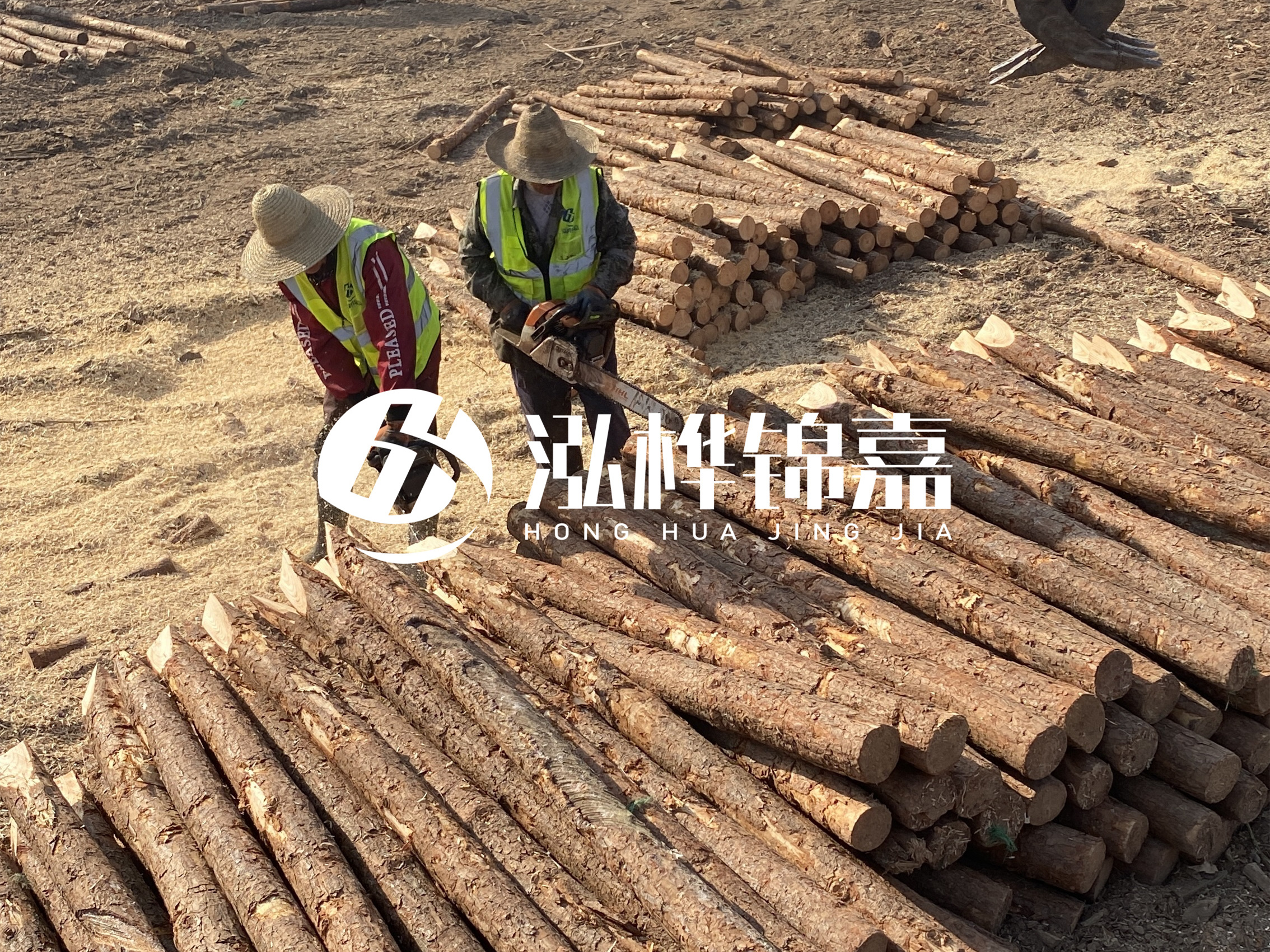 河北打樁木廠家主要生產(chǎn)哪些材質(zhì)的打樁木？產(chǎn)品有哪些規(guī)格？