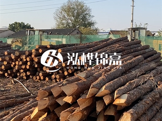 江西松木樁批發(fā)廠家泓樺錦嘉 - 松木廠家批發(fā)電話地址？