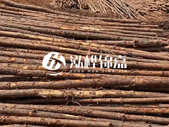 10公分的木材多少根為一方 - 4米10公分樹多少根為一方？