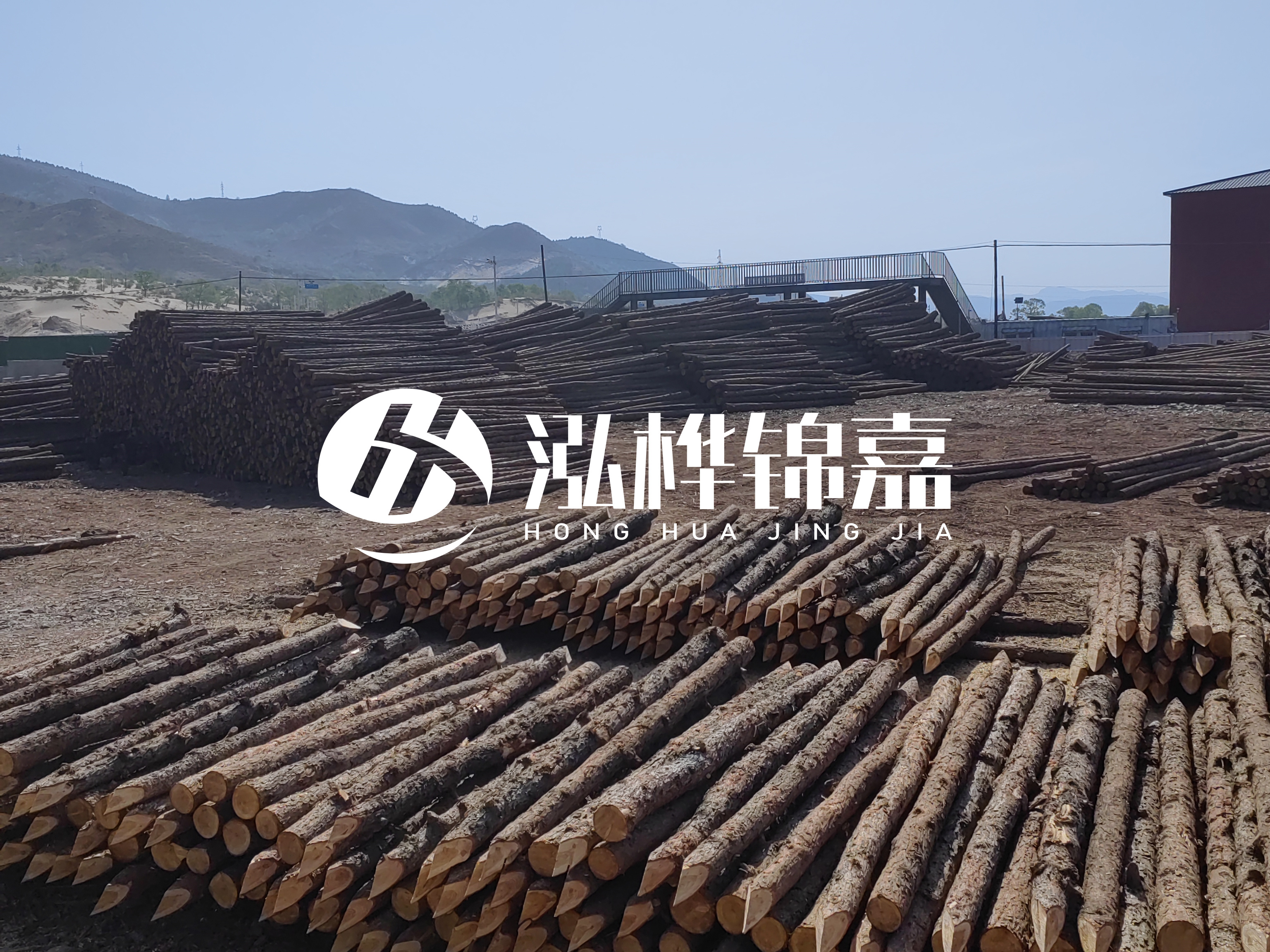 江蘇打樁木源頭廠家泓樺錦嘉-4米打樁木大頭14-16小頭一般多少？