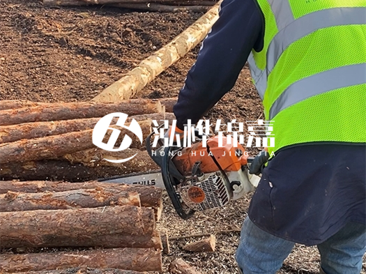 河道打木樁多少錢一根？5米直徑10松木樁打樁多少錢？