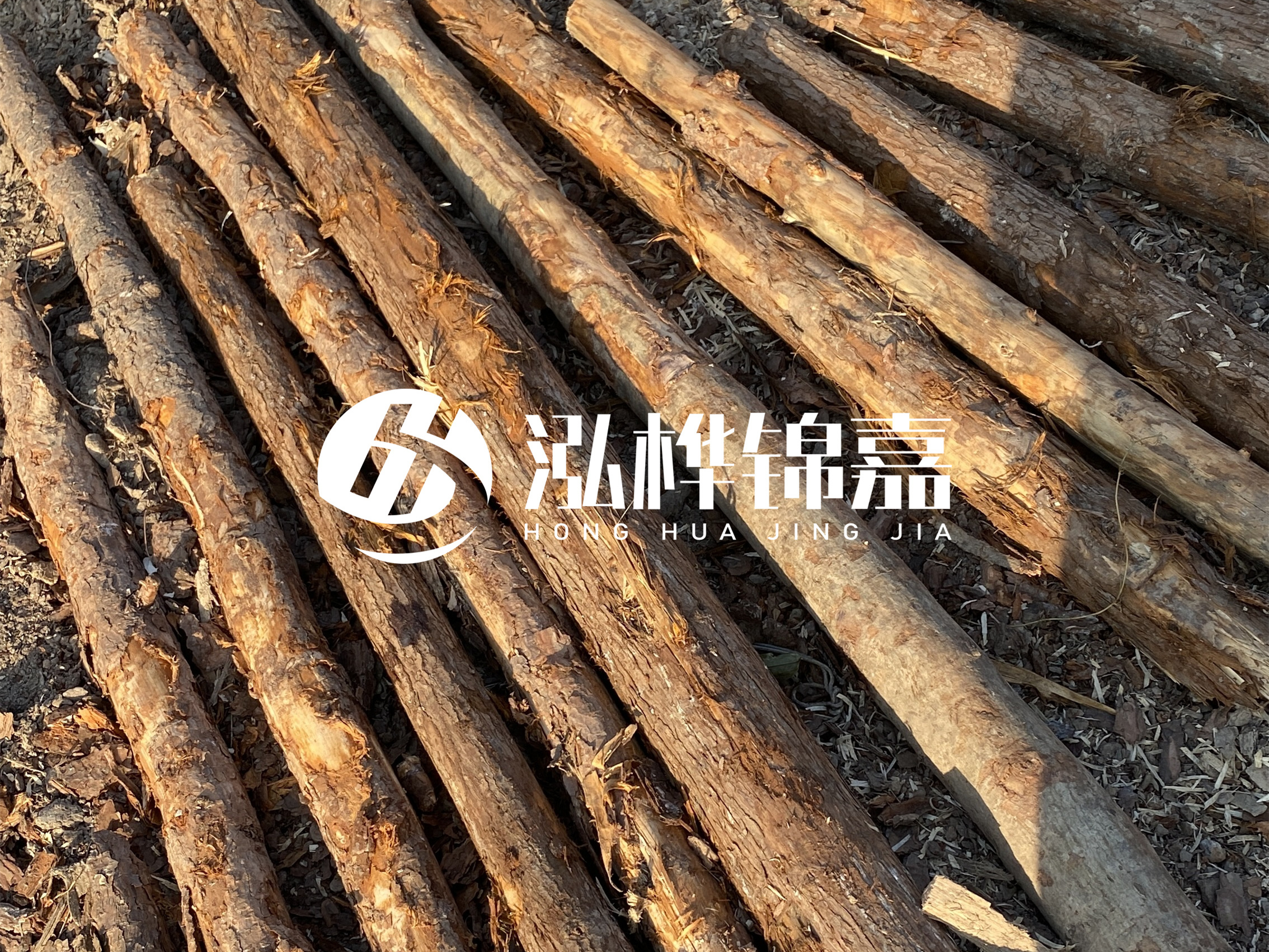 河道木樁多少錢一根？河道木樁的使用以及保養(yǎng)方法?