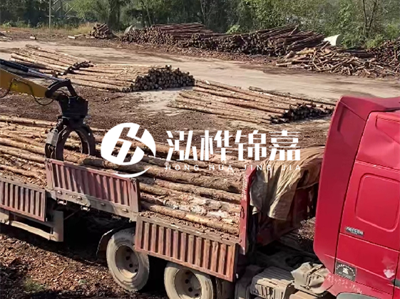 四川松木樁廠家泓樺錦嘉-哪一種打樁木最便宜？