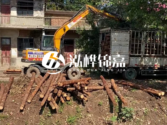 怎么把松木樁打到土里？松木樁要打進去多深？