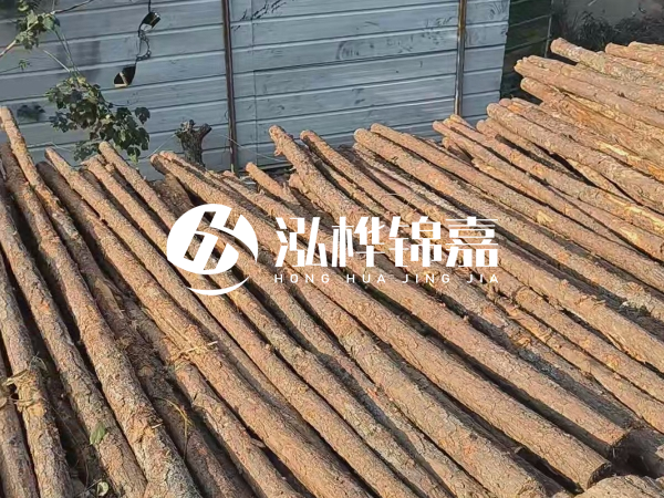 松木樁打樁后清淤怎么處理？有沒有全包的公司？