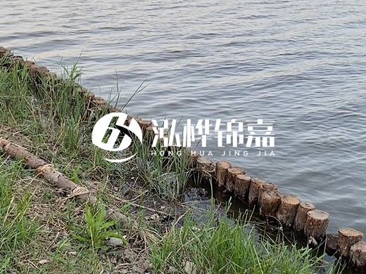 防洪松木樁施工重要性？河道打木樁的位置怎么確定？