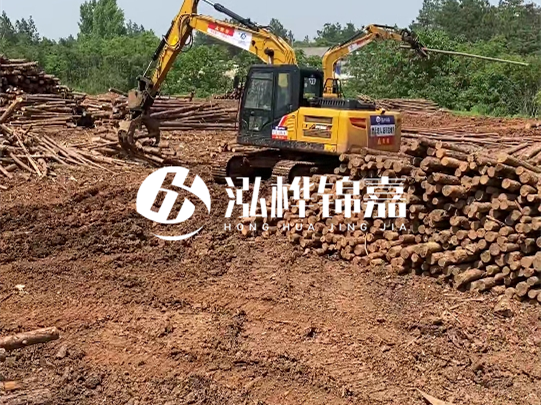 河道松木樁廠家聯(lián)系方式-6米10-15公分價(jià)格是多少？