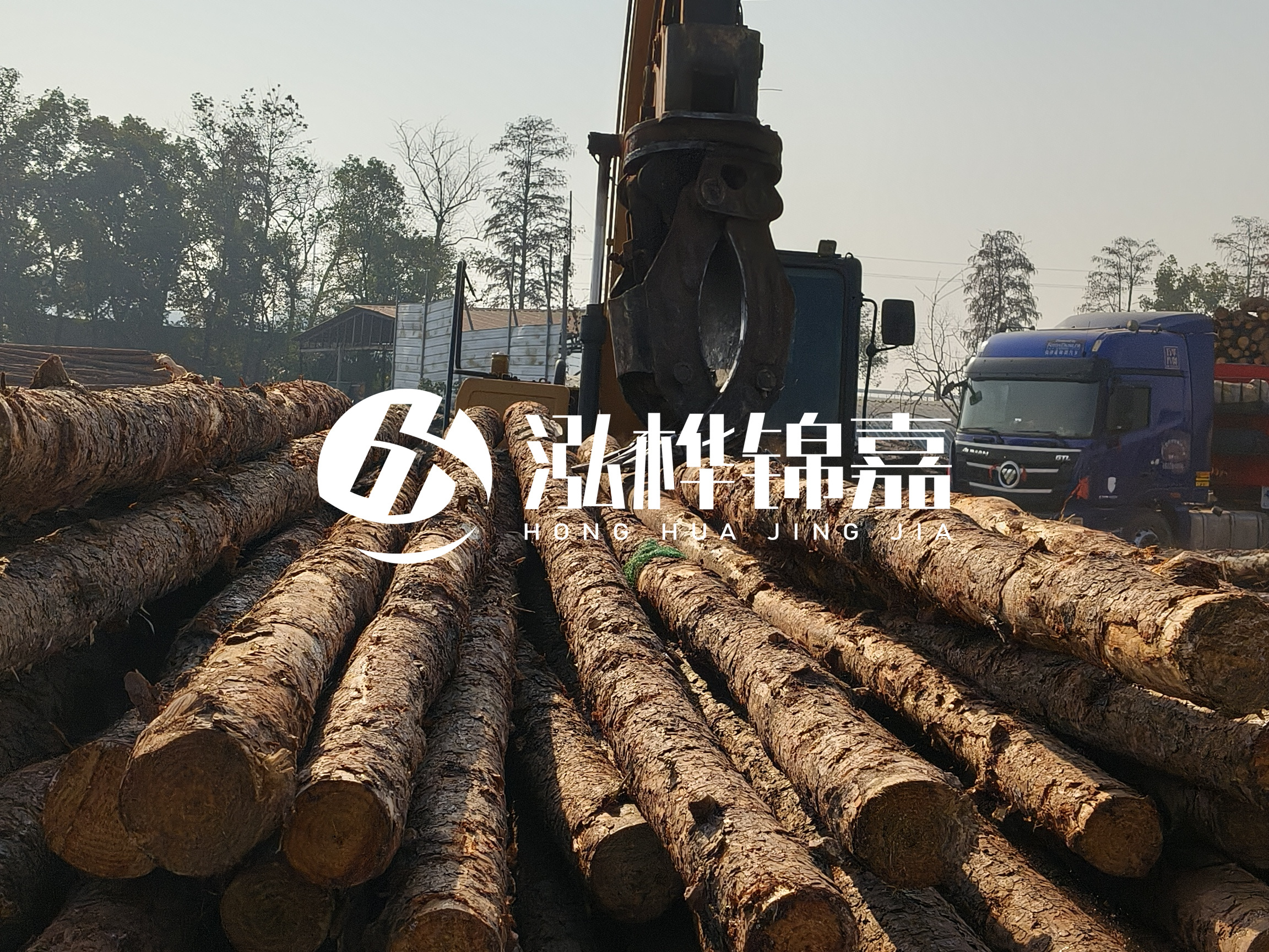 松木樁可以用來做什么？常用于哪些工程？