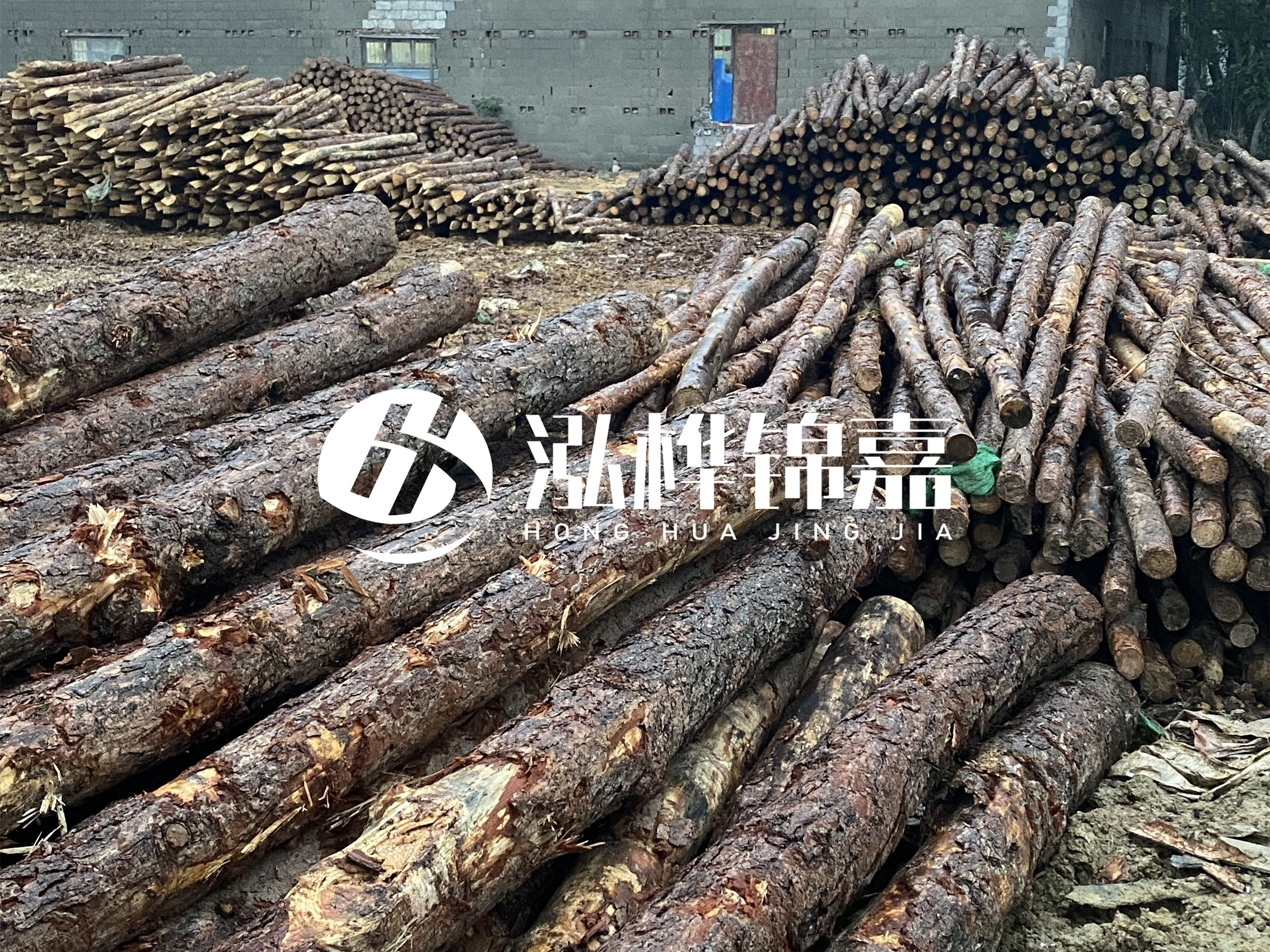 松木樁批發(fā)廠家泓樺錦嘉 - 河道松木樁如何選擇優(yōu)質(zhì)木材？