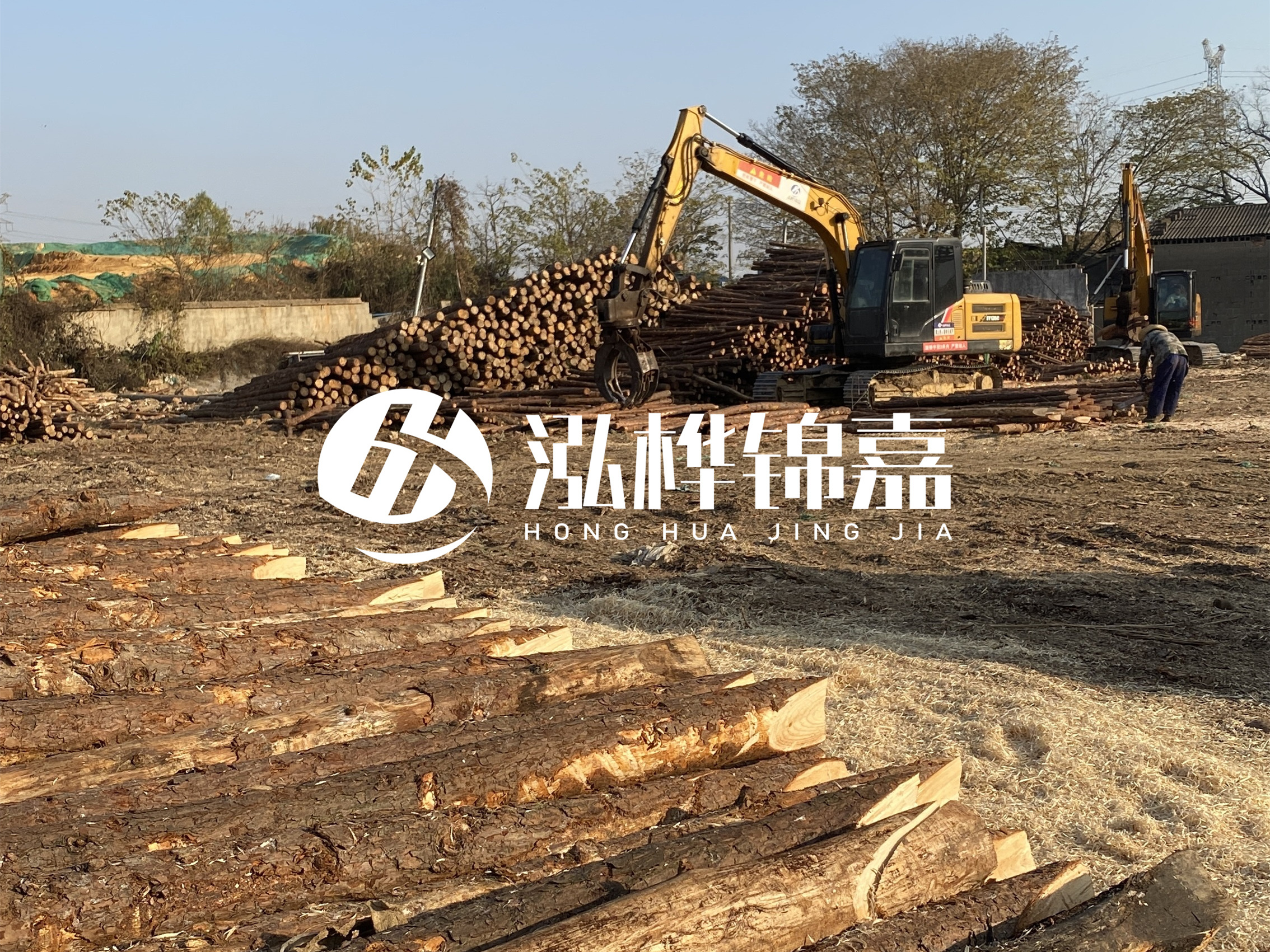 松木樁批發(fā)廠家泓樺錦嘉-松木樁廠家能開發(fā)票嗎？