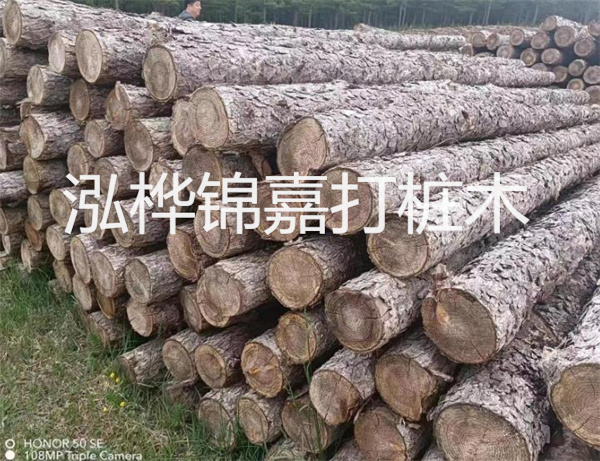 高效修補(bǔ)，保駕護(hù)航！水泥路面高強(qiáng)度修補(bǔ)料為您解決煩惱！