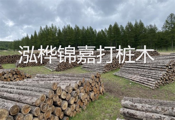 預(yù)制松木樁施工工藝：優(yōu)質(zhì)材料，高效快速，堅(jiān)固耐用