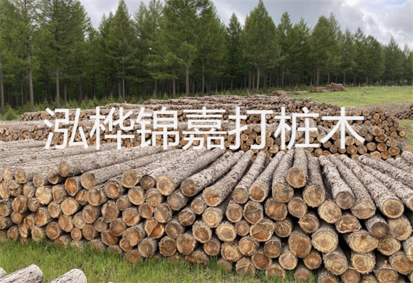 松木樁能施工嗎？探究視頻揭秘真相！