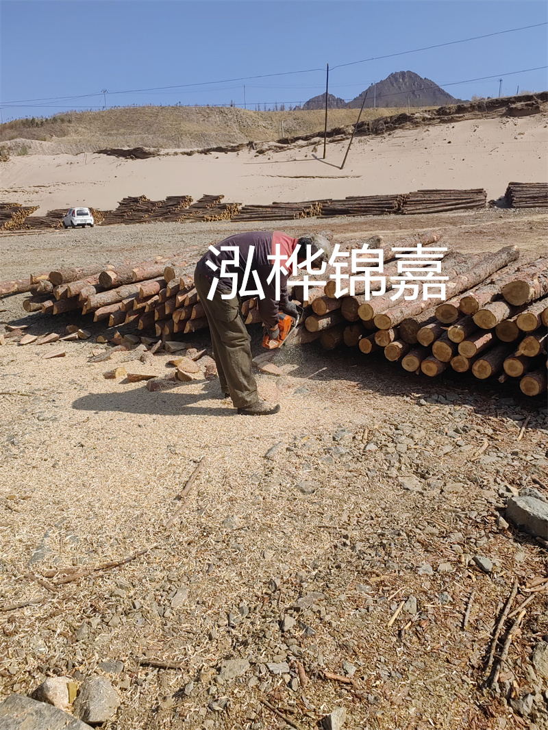 松木樁駁岸施工，打造水上風(fēng)景線