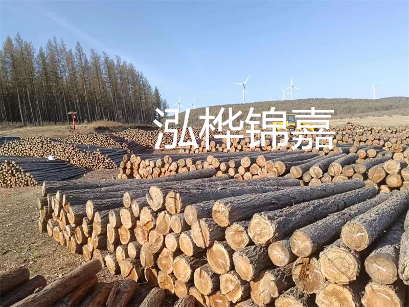 用路基松木樁施工方案提升工程質(zhì)量描述：了解路基松木樁施工方案的重要性，提高工程質(zhì)量關(guān)鍵詞：路基松木樁，施工方案，工程質(zhì)量