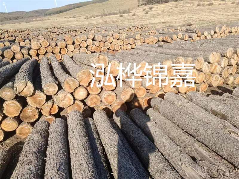 選擇合適的路緣石尺寸，打造美麗道路